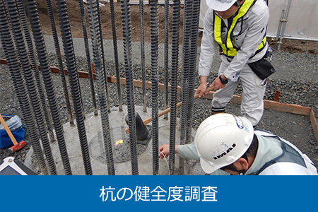 杭の健全度調査