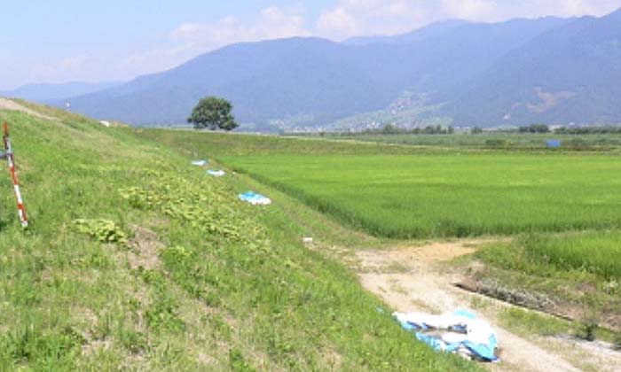 河川敷写真